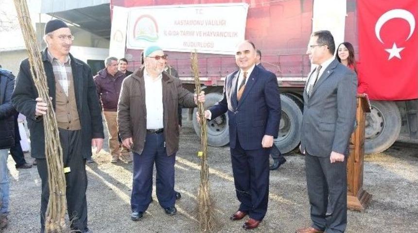 &Ccedil;ift&ccedil;ilere Ceviz Fidanı Dağıtımı Yapıldı