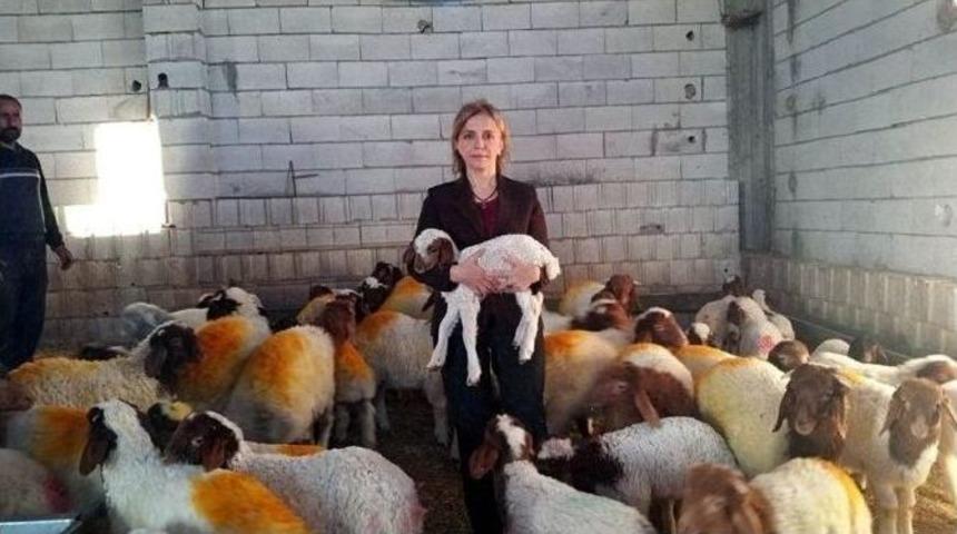 &Uuml;reticiye 880 Bin Tl &Ouml;deme Yapıldı