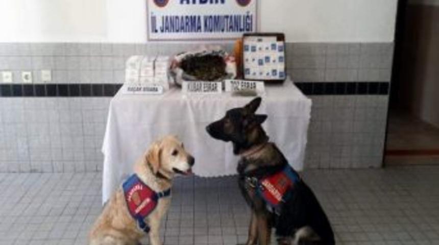 Otobüsle Uyuşturucu Ve Kaçak Sigara Naklini Jandarma Engelledi