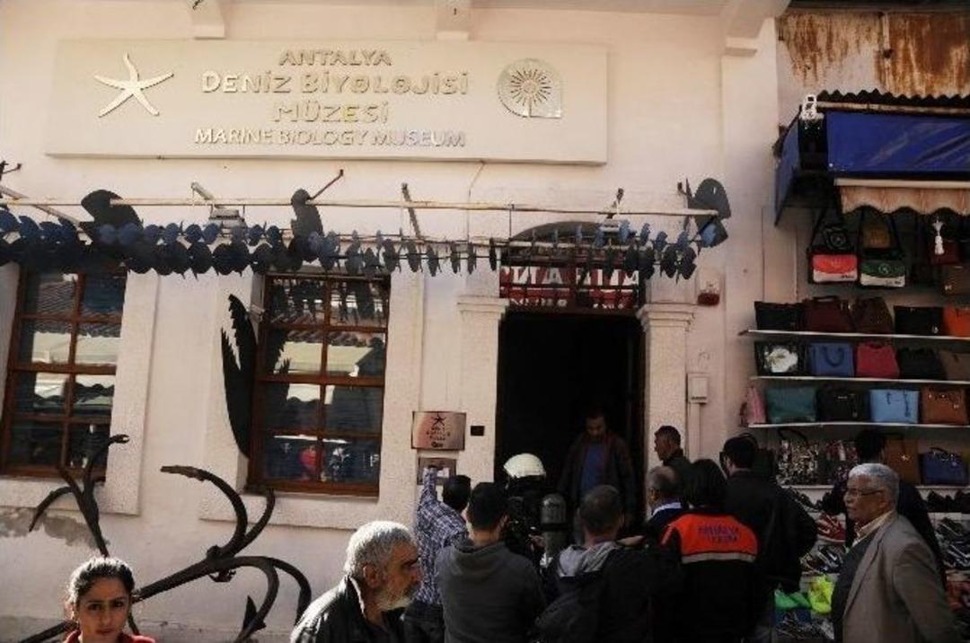 Antalya Deniz Biyoloji M&uuml;zesi&rsquo;nde Korkutan Yangın