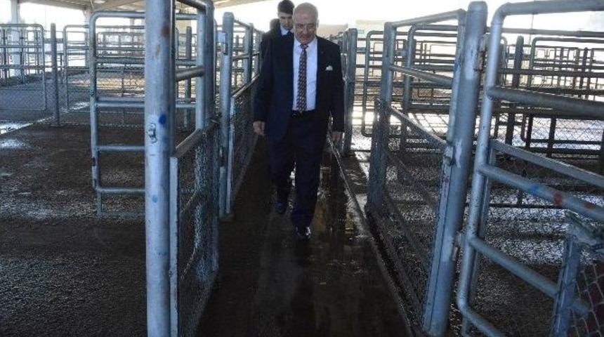 Büyükşehir Belediyesi’nden Tarsus Mezbahasına Soruşturma