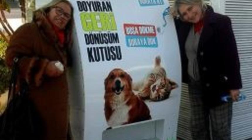 Pet Şişeler Sokak Hayvanlarına Mama Oluyor