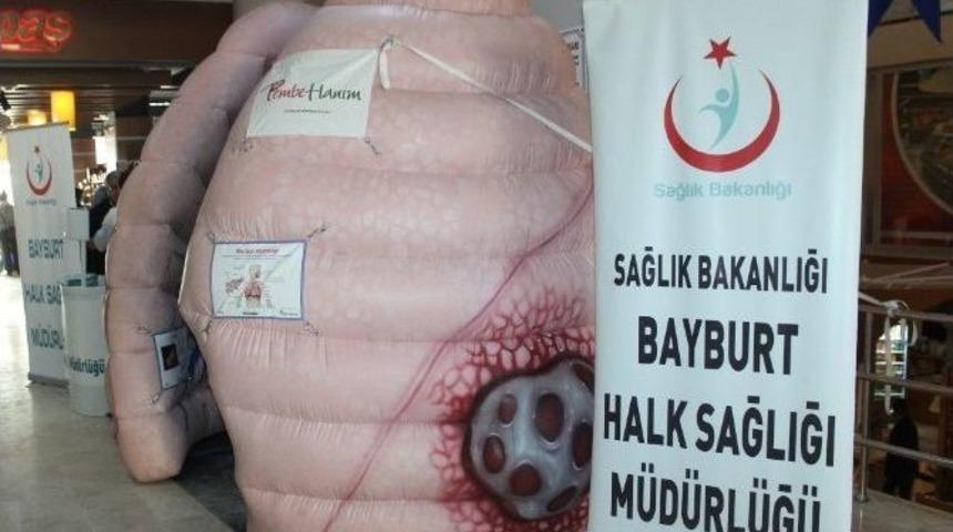 &rsquo;koca Ciğer&rsquo; Bayburt&rsquo;ta Sergilendi