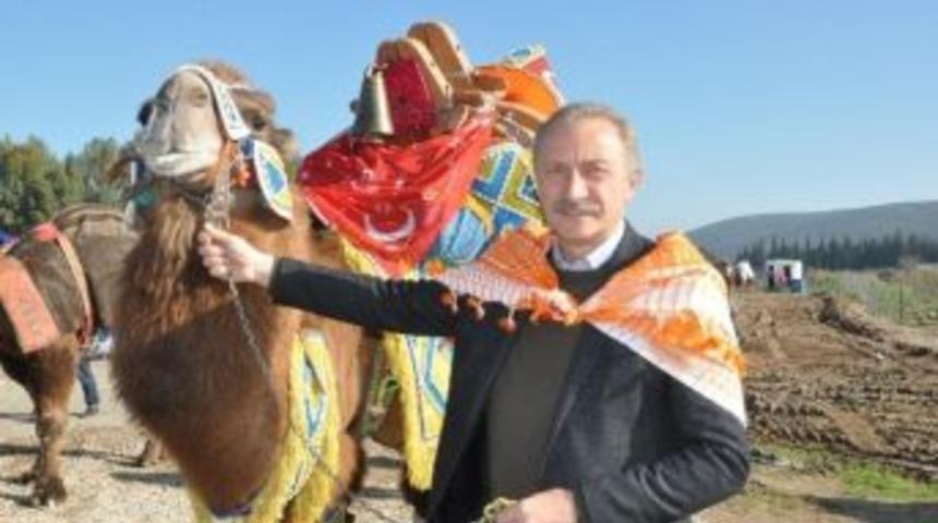 Didim 5. Deve G&uuml;reşi Festivali 13 Aralıkta Yapılacak