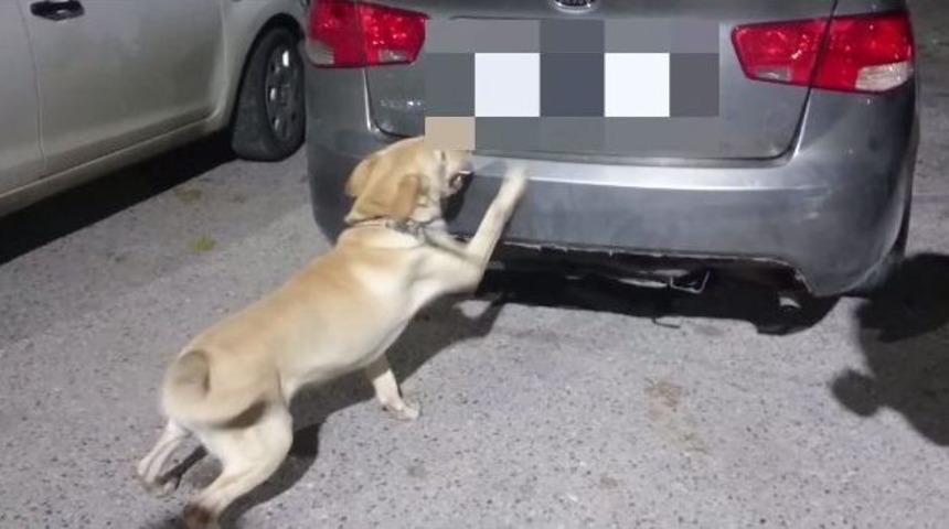 Uyuşturucu Tacirleri Sakladı Dedekt&ouml;r K&ouml;pek Buldu