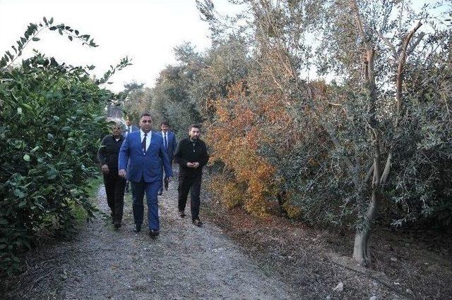 Başkan Can: “berdan Nehri Bizim İddialı Projemizdir”