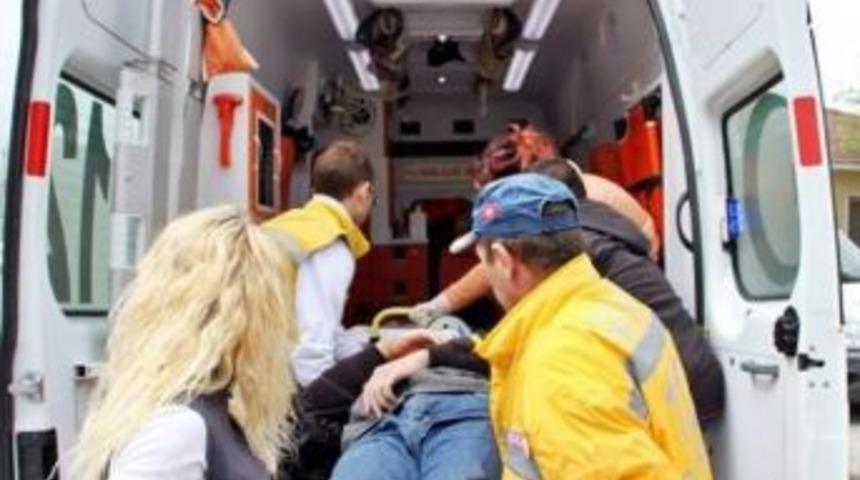 Tomruk Altında Kalan Orman İş&ccedil;isi Ağır Yaralandı