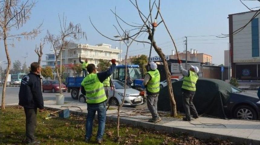 Park Ve Bah&ccedil;eler &Ccedil;alışmalarını Aralıksız S&uuml;rd&uuml;r&uuml;yor