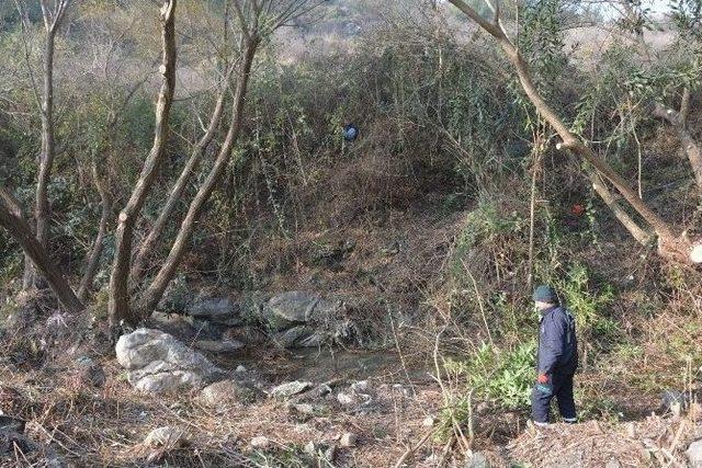 Park Ve Bahçeler Çalışmalarını Aralıksız Sürdürüyor