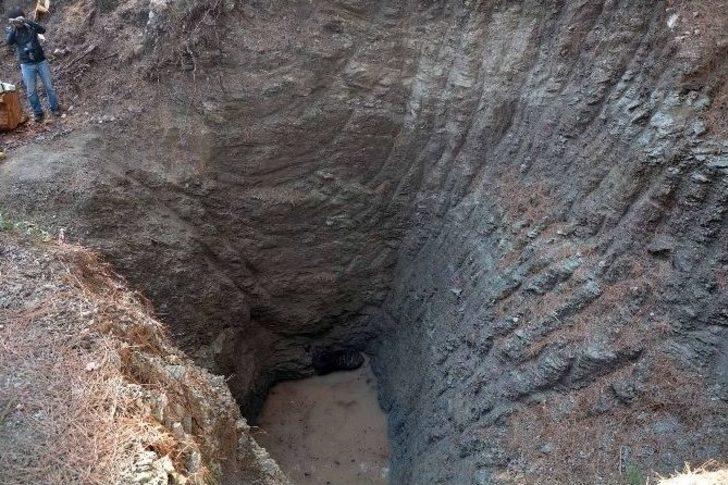 Kuyuya Düşen Yaban Domuzu Kurtarıldı G2