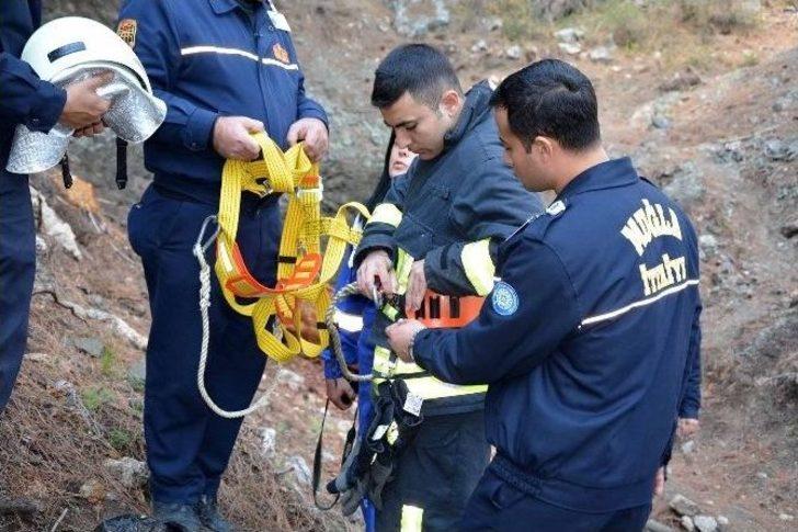 Kuyuya Düşen Yaban Domuzu Kurtarıldı G3