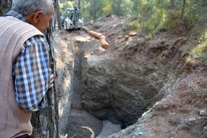 Kuyuya Düşen Yaban Domuzu Kurtarıldı G4