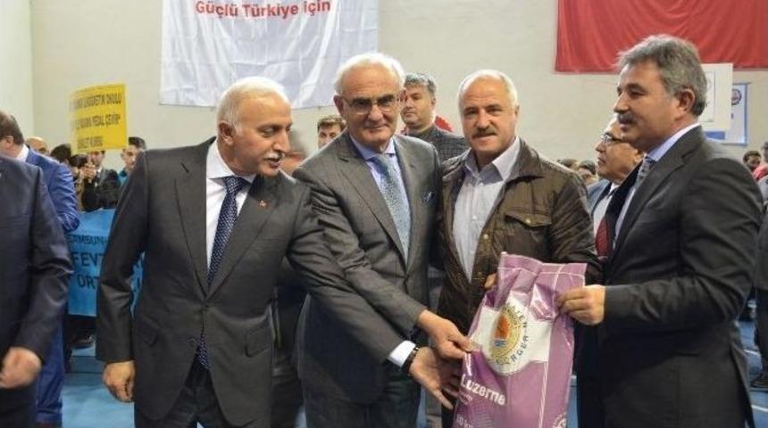 Bafra&rsquo;da Yem Bitkisi Tohumu Dağımı