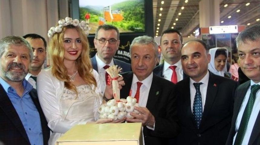 İzmir Travel Turkey&rsquo;de Kastamonu R&uuml;zgarı Esti