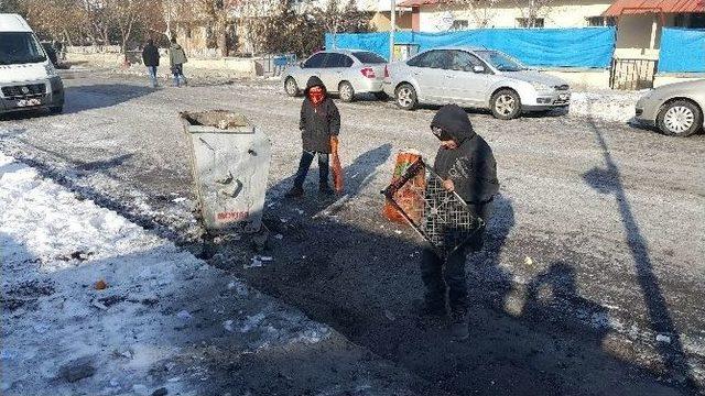 (özel Haber) Çöpte Geçen Hayat