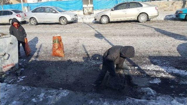 (özel Haber) Çöpte Geçen Hayat