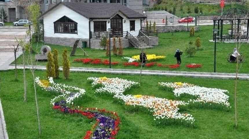 50 Bin Lale Soğanı Toprakla Buluştu