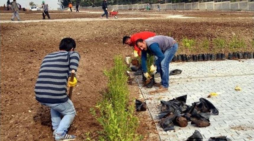 Yakak&ouml;y Parkı&rsquo;nda Sona Gelindi