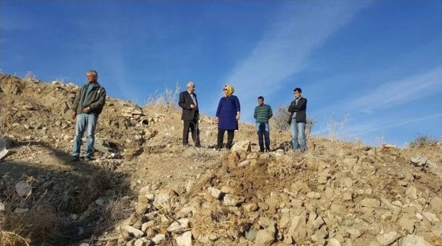 Asar G&ouml;leti&rsquo;nin &Ccedil;evresi Ağa&ccedil;landırılıyor