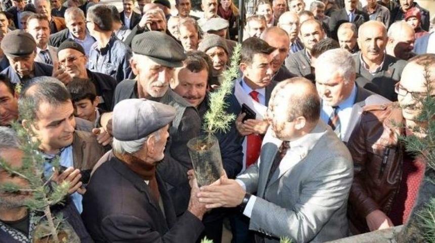 Besni Kaymakamlığı 15 Bin Adet Fidan Dağıttı