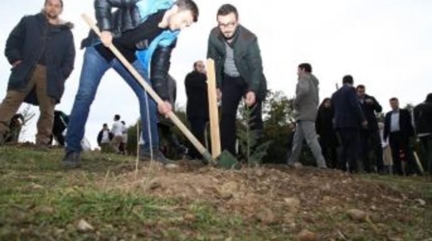 Paşadağ Mahallesinde 2 Bin Ağa&ccedil; Dikildi
