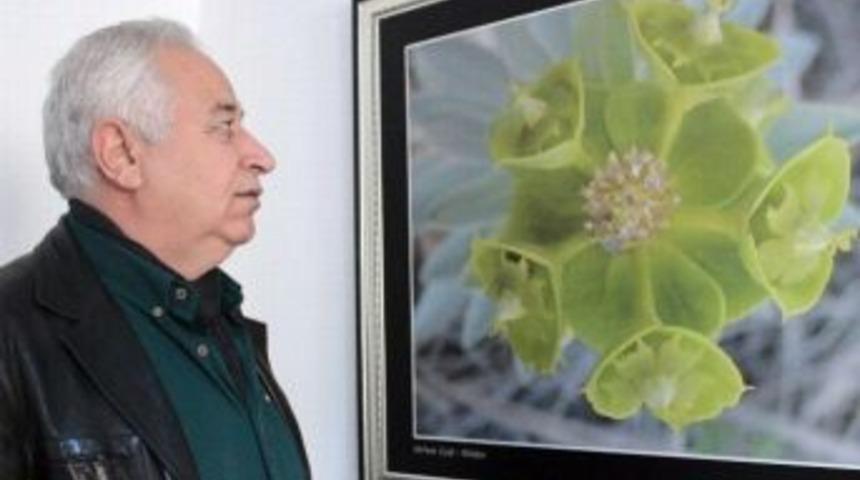 Dokuz Yıldır Aynı Fotoğrafı &Ccedil;ekmek İ&ccedil;in &Ccedil;aba Sarf Ediyor