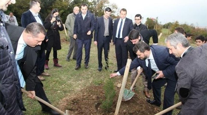 Başiskele&rsquo;de 2 Bin Ağa&ccedil; Dikildi