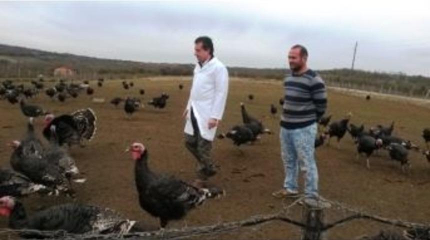 Kandıra Hindisine B&uuml;y&uuml;kşehir Desteği