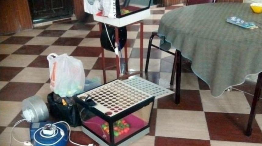 Cezaevi Firarisi Buzdolabında Yakalandı