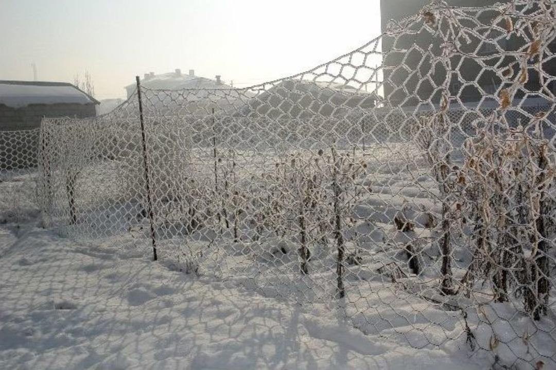 Y&uuml;ksekova&rsquo;da Dondurucu Soğuklar