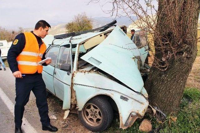 Ağaca Tosladı, ‘ben Kaza Yapmadım’ Dedi