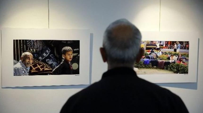 Savaşın Acı Y&uuml;z&uuml; Bu Sergide