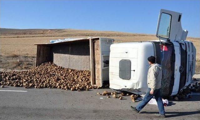 Tır Devrildi, Şeker Pancarları Yola Saçıldı