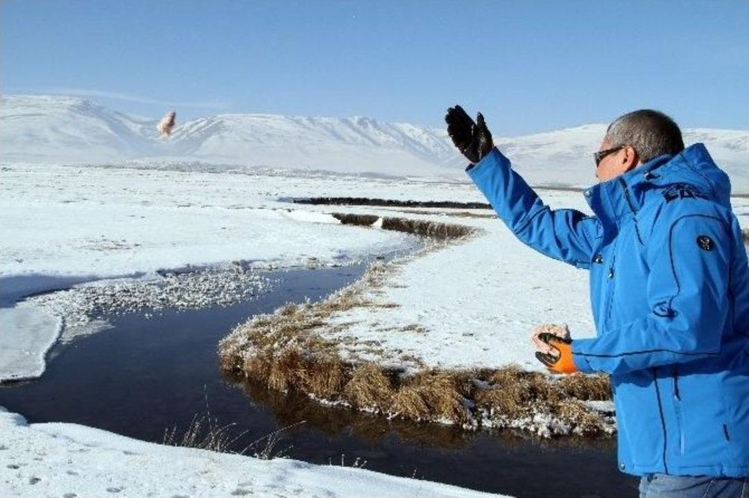 Vali Deniz, Yaban Hayvanları İ&ccedil;in Doğaya Yem Bıraktı