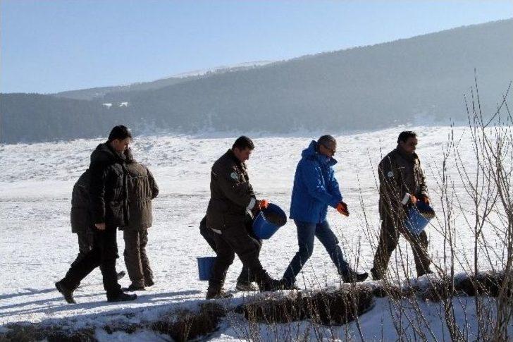 Vali Deniz, Yaban Hayvanları İçin Doğaya Yem Bıraktı G5