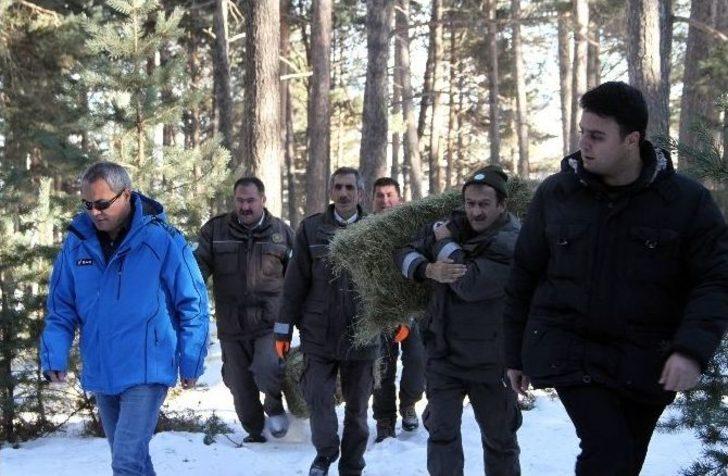 Vali Deniz, Yaban Hayvanları İçin Doğaya Yem Bıraktı G1