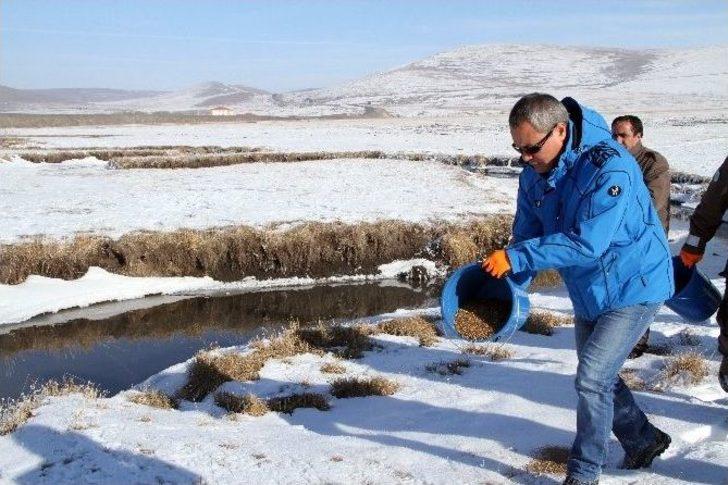 Vali Deniz, Yaban Hayvanları İçin Doğaya Yem Bıraktı G2