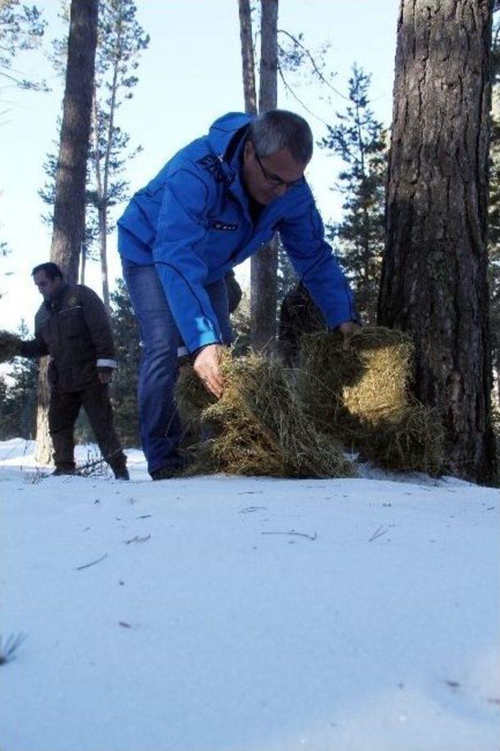 Vali Deniz, Yaban Hayvanları İçin Doğaya Yem Bıraktı G3