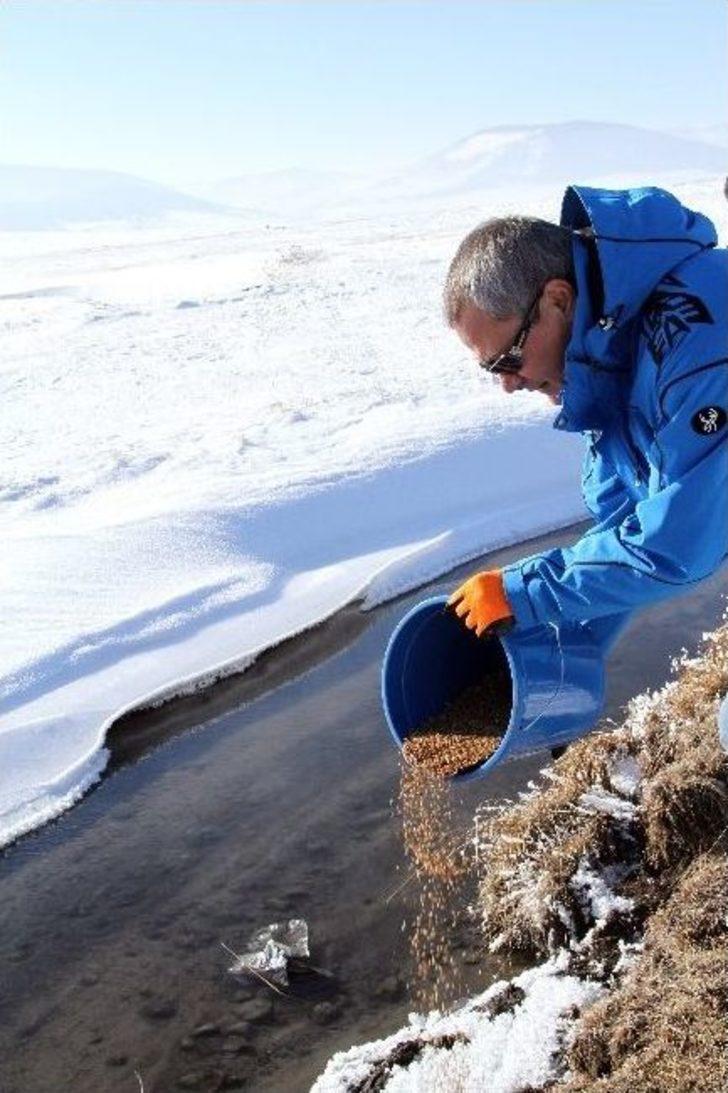 Vali Deniz, Yaban Hayvanları İçin Doğaya Yem Bıraktı G4