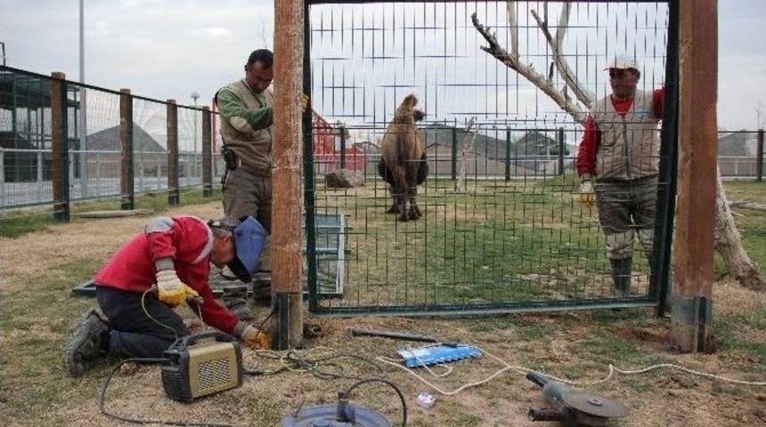 Hayvanat Bah&ccedil;esi Kışa Hazır