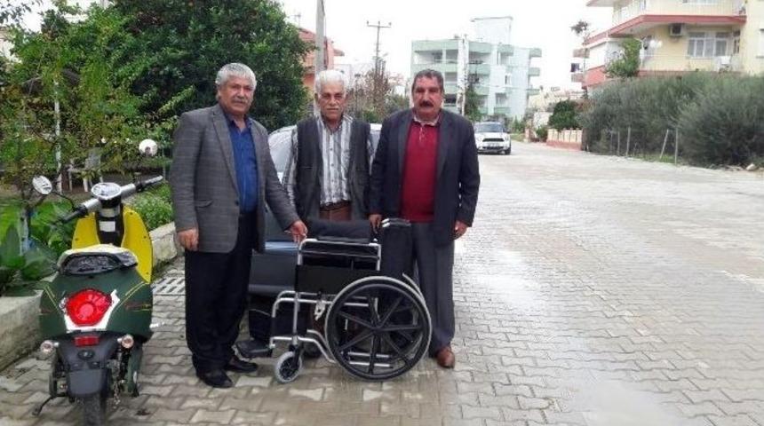 Serikli Elif Artık Dışarıda Gezebilecek