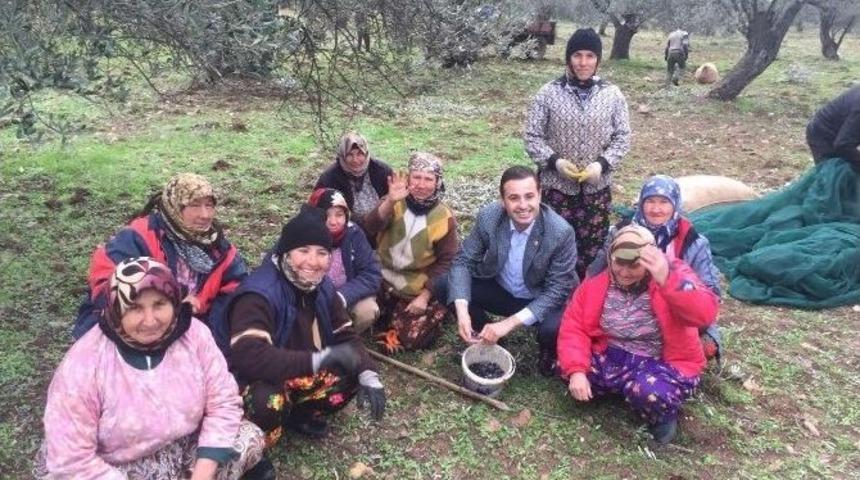 &ldquo;zeytinci İ&ccedil;in Her T&uuml;rl&uuml; G&ouml;reve Hazırım&rdquo;