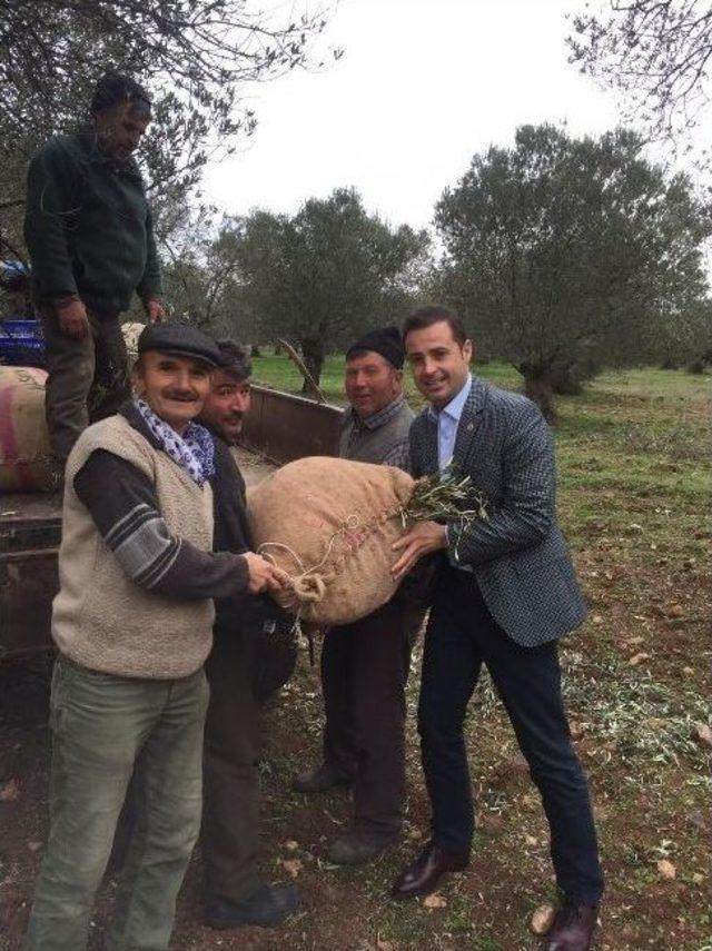 “zeytinci İçin Her Türlü Göreve Hazırım”