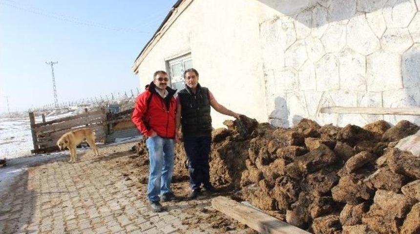 Doğalgaz&rsquo;a İnat Tezek