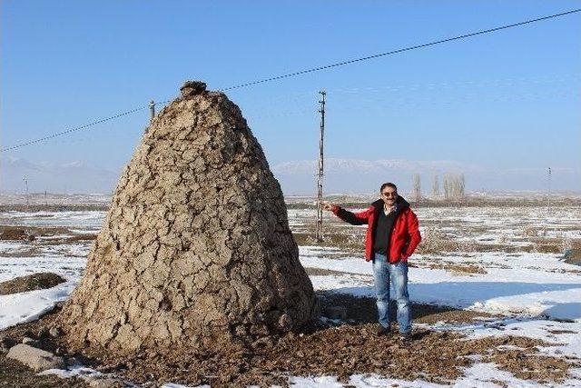 Doğalgaz’a İnat Tezek