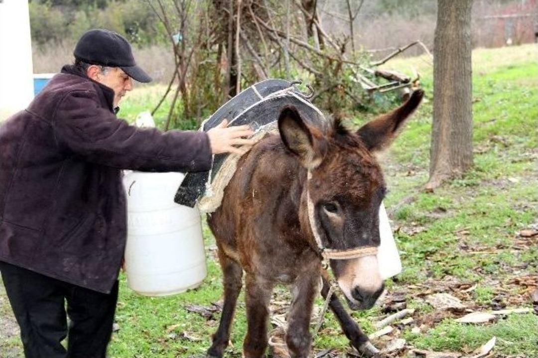 Evine, Eşekle Su Taşıyor