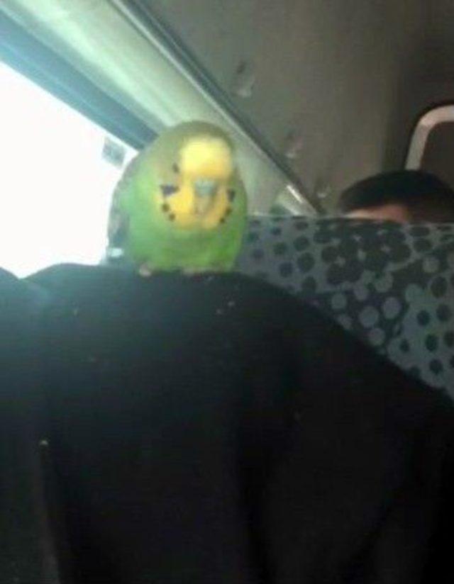 Muhabbetli Yolculuk 1