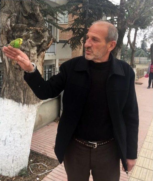 Muhabbetli Yolculuk 2