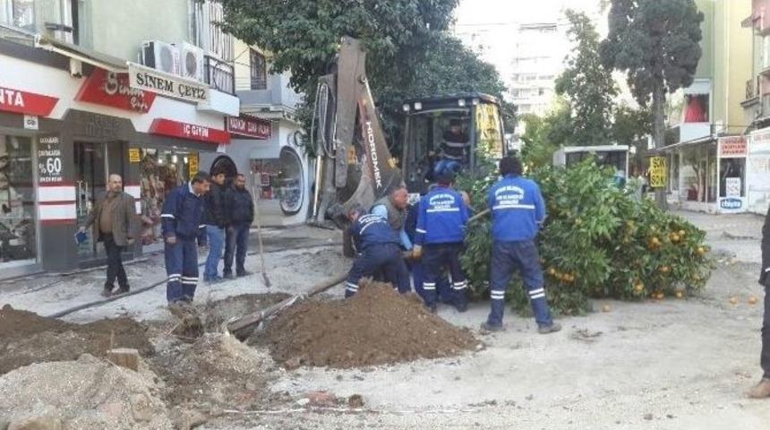 Seyhan Belediyesi&rsquo;nin Ağa&ccedil; Duyarlılığı