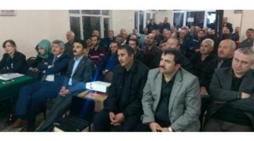 K&ouml;yl&uuml;lere Ceviz Yetiştiriciliği Anlatıldı